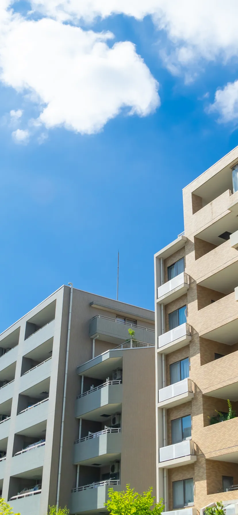 メインビジュアル3